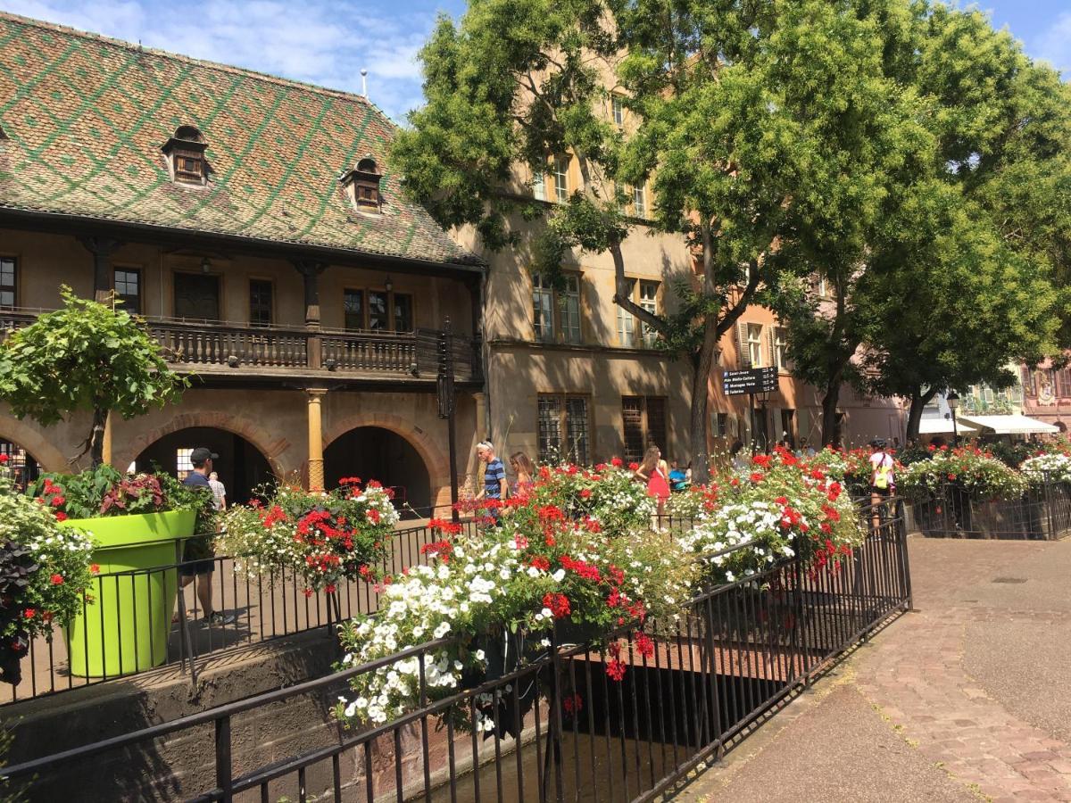 Centre Historique Colmar La Collegiale Resort المظهر الخارجي الصورة